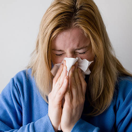 Vue interieure de la Pharmacie des Forrières